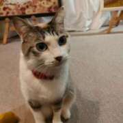 藤崎彩花 那須塩原🐾🐾 吉原ファーストレディ