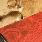 ヒメ日記 2025/12/06 20:19 投稿 藤崎彩花 吉原ファーストレディ