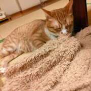 ヒメ日記 2025/12/06 21:52 投稿 藤崎彩花 吉原ファーストレディ