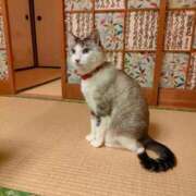 ヒメ日記 2025/12/07 00:16 投稿 藤崎彩花 吉原ファーストレディ