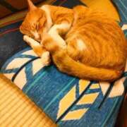 ヒメ日記 2025/12/07 16:56 投稿 藤崎彩花 吉原ファーストレディ