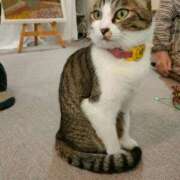 ヒメ日記 2025/12/08 19:06 投稿 藤崎彩花 吉原ファーストレディ