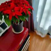 ヒメ日記 2025/12/10 09:27 投稿 藤崎彩花 吉原ファーストレディ