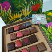 ヒメ日記 2026/01/23 09:46 投稿 藤崎彩花 吉原ファーストレディ