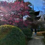 ヒメ日記 2026/02/23 12:18 投稿 藤崎彩花 吉原ファーストレディ