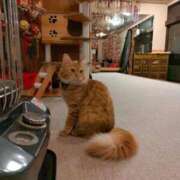 ヒメ日記 2026/02/28 22:45 投稿 藤崎彩花 吉原ファーストレディ