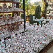 ヒメ日記 2026/03/02 21:47 投稿 藤崎彩花 吉原ファーストレディ