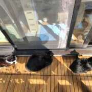 ヒメ日記 2026/03/08 09:36 投稿 藤崎彩花 吉原ファーストレディ