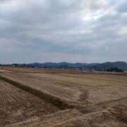 ヒメ日記 2026/03/21 18:08 投稿 藤崎彩花 吉原ファーストレディ