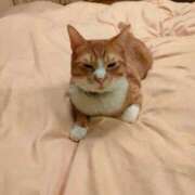 ヒメ日記 2026/03/22 08:06 投稿 藤崎彩花 吉原ファーストレディ