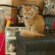 ヒメ日記 2026/03/28 10:36 投稿 藤崎彩花 吉原ファーストレディ