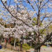 ヒメ日記 2026/03/30 10:19 投稿 藤崎彩花 吉原ファーストレディ