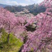 ヒメ日記 2026/04/01 09:26 投稿 藤崎彩花 吉原ファーストレディ