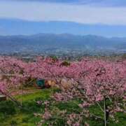 ヒメ日記 2026/04/06 13:26 投稿 藤崎彩花 吉原ファーストレディ