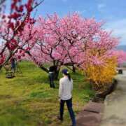 ヒメ日記 2026/04/09 07:56 投稿 藤崎彩花 吉原ファーストレディ