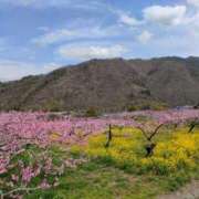ヒメ日記 2026/04/10 19:46 投稿 藤崎彩花 吉原ファーストレディ