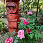 ヒメ日記 2026/05/08 08:56 投稿 藤崎彩花 吉原ファーストレディ