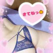 ヒメ日記 2025/10/20 19:16 投稿 ゆま 吉原ファーストレディ