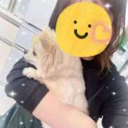 ヒメ日記 2026/01/15 12:26 投稿 ゆま 吉原ファーストレディ