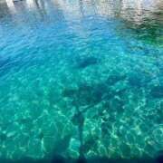 ヒメ日記 2026/02/21 20:46 投稿 ゆま 吉原ファーストレディ