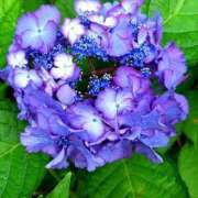 ヒメ日記 2025/06/16 07:03 投稿 キコ　興奮高まる最高の良い女 クラブA