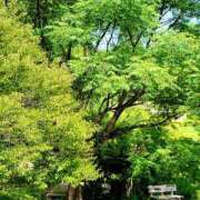 ヒメ日記 2025/06/19 15:12 投稿 キコ　興奮高まる最高の良い女 クラブA