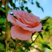 ヒメ日記 2025/06/22 11:33 投稿 キコ　興奮高まる最高の良い女 クラブA