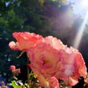 ヒメ日記 2025/06/28 12:42 投稿 キコ　興奮高まる最高の良い女 クラブA