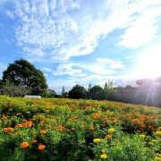 ヒメ日記 2025/06/30 14:03 投稿 キコ　興奮高まる最高の良い女 クラブA