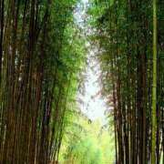 ヒメ日記 2025/07/07 14:42 投稿 キコ　興奮高まる最高の良い女 クラブA