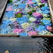 ヒメ日記 2025/07/08 01:33 投稿 キコ　興奮高まる最高の良い女 クラブA