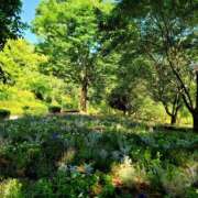 ヒメ日記 2025/07/14 13:48 投稿 キコ　興奮高まる最高の良い女 クラブA