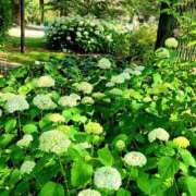 ヒメ日記 2025/07/18 17:00 投稿 キコ　興奮高まる最高の良い女 クラブA