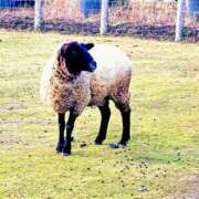 ヒメ日記 2025/07/21 22:33 投稿 キコ　興奮高まる最高の良い女 クラブA