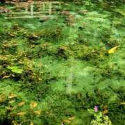 ヒメ日記 2025/07/27 11:15 投稿 キコ　興奮高まる最高の良い女 クラブA