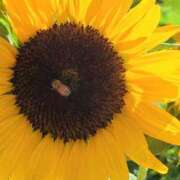 ヒメ日記 2025/07/28 15:18 投稿 キコ　興奮高まる最高の良い女 クラブA