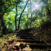 ヒメ日記 2025/08/02 20:12 投稿 キコ　興奮高まる最高の良い女 クラブA