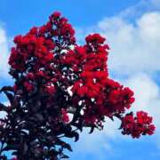 ヒメ日記 2025/09/01 13:51 投稿 キコ　興奮高まる最高の良い女 クラブA