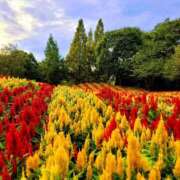 ヒメ日記 2025/09/20 12:18 投稿 キコ　興奮高まる最高の良い女 クラブA