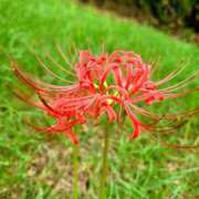 ヒメ日記 2025/10/04 17:45 投稿 キコ　興奮高まる最高の良い女 クラブA