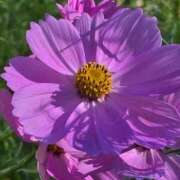 ヒメ日記 2025/10/10 18:15 投稿 キコ　興奮高まる最高の良い女 クラブA