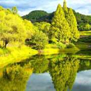 ヒメ日記 2025/10/17 16:06 投稿 キコ　興奮高まる最高の良い女 クラブA