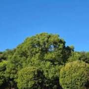 ヒメ日記 2025/10/20 14:21 投稿 キコ　興奮高まる最高の良い女 クラブA