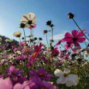 ヒメ日記 2025/10/31 16:18 投稿 キコ　興奮高まる最高の良い女 クラブA