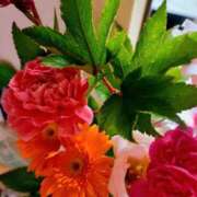 ヒメ日記 2025/11/11 18:48 投稿 キコ　興奮高まる最高の良い女 クラブA