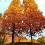 ヒメ日記 2025/11/14 14:03 投稿 キコ　興奮高まる最高の良い女 クラブA