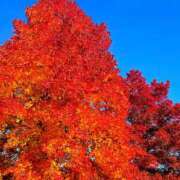 ヒメ日記 2025/11/23 10:33 投稿 キコ　興奮高まる最高の良い女 クラブA