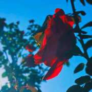 ヒメ日記 2025/11/25 17:18 投稿 キコ　興奮高まる最高の良い女 クラブA