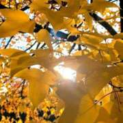 キコ　興奮高まる最高の良い女 お休み クラブA