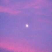 ヒメ日記 2025/12/08 15:18 投稿 キコ　興奮高まる最高の良い女 クラブA